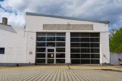 Straubing Halle, Straubing Hallenfläche