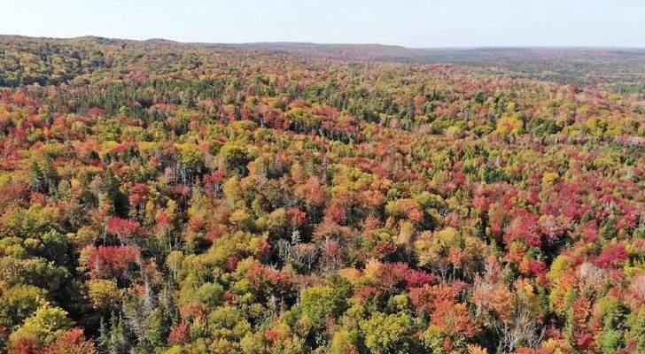 Nova Scotia - West Side Country Harbour - 52-Hekta