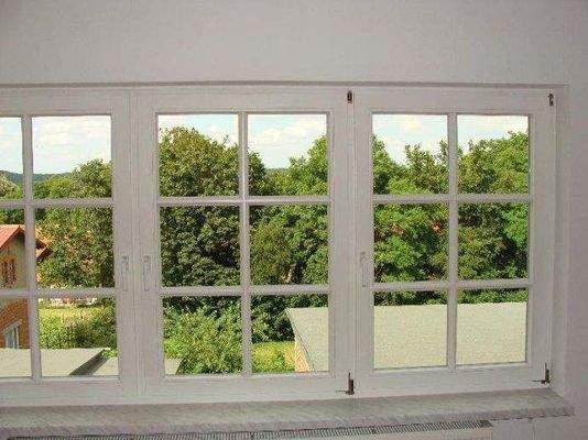 Blick aus dem Wohnzimmer 1