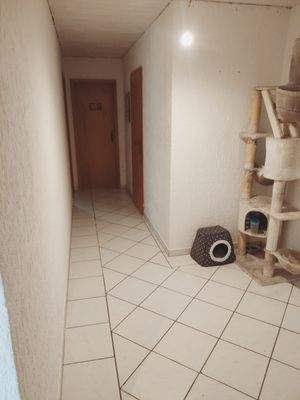 WhatsApp Image 2025-07-31 at 15.37.05 (8).jpeg