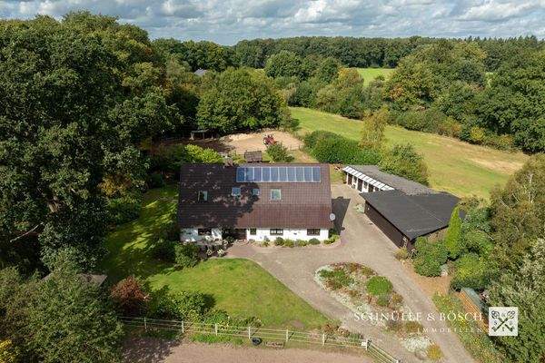 Weiden und Paddocks direkt am Haus