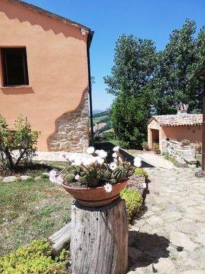 424674535_918539253615320_5247350394435762001_n.jp