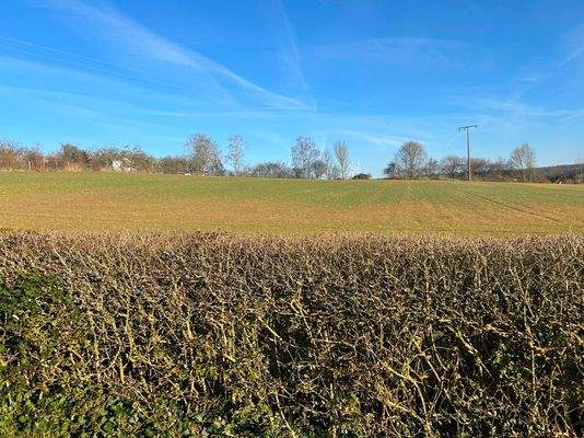 Freier Blick hinter dem Haus