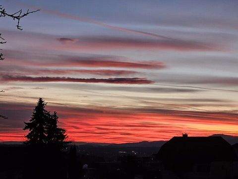 Schäffern Bauernhöfe, Landwirtschaft, Schäffern Forstwirtschaft