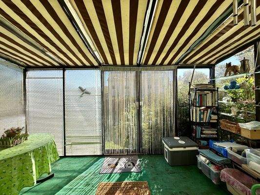 sonniger Wintergarten 