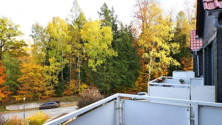 ga Blick vom Balkon.jpg