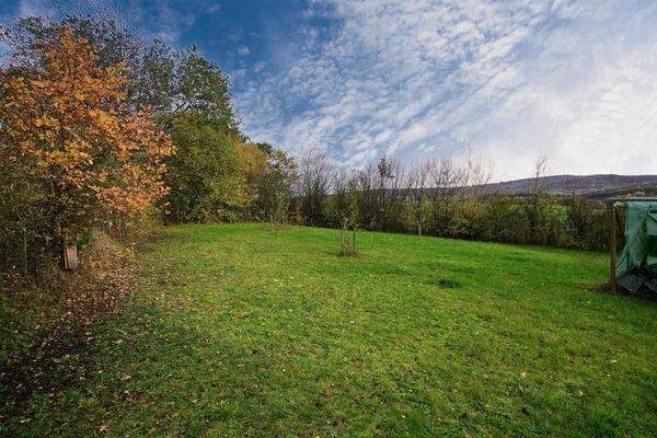 Garten hinter dem Haus