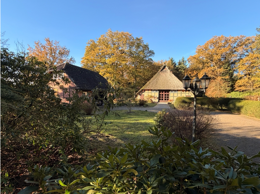 Blick von der Zufahrt auf das Grundstück