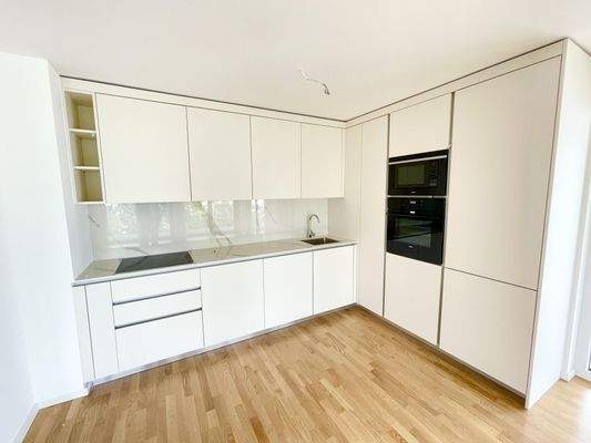 moderne Einbauküche