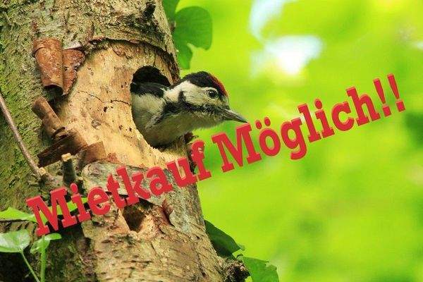 Mietkauf möglich.jpg