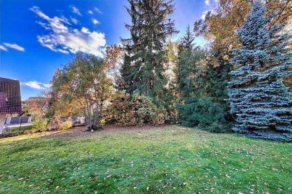 Garten mit eigenem Wald