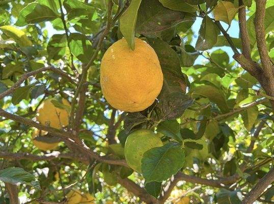 WhatsApp Image 2025-05-01 at 12.22.00 (1).jpeg