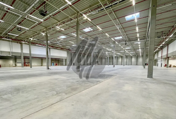 INFOS UNTER: 06171-586000