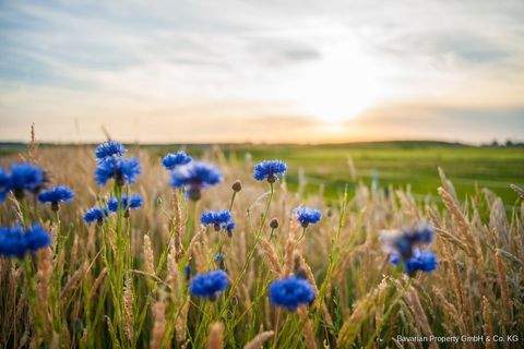 Kirchberg im Wald / Untermitterdorf Grundstücke, Kirchberg im Wald / Untermitterdorf Grundstück kaufen