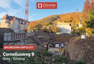 project-cw9-bild10-will