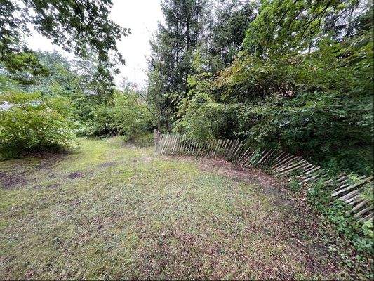 Blick in das Grundstück