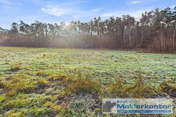 Aussicht in die Natur