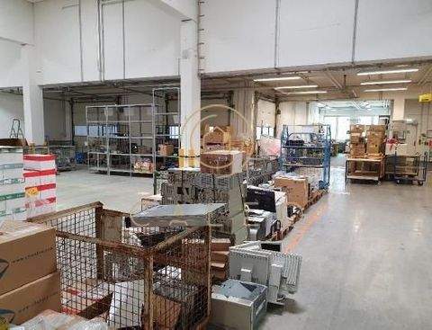 Langen (Hessen) Halle, Langen (Hessen) Hallenfläche