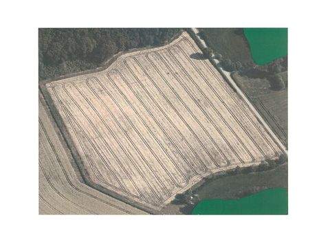 Beckum Bauernhöfe, Landwirtschaft, Beckum Forstwirtschaft