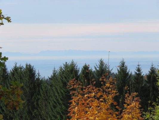 Fernsicht bis in die Alpen 