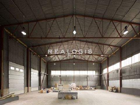 Landshut Halle, Landshut Hallenfläche