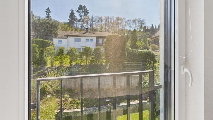 Blick in den Garten