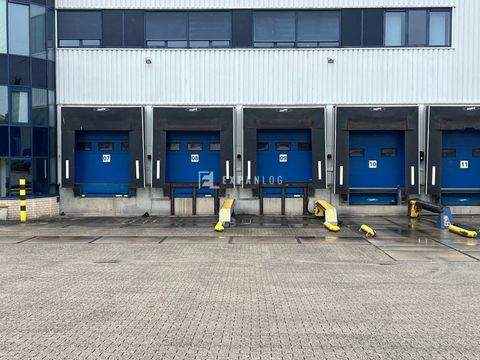 Dormagen Halle, Dormagen Hallenfläche