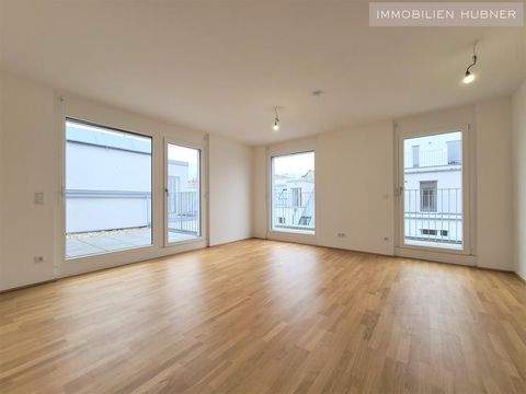 Wien Wohnungen, Wien Wohnung mieten