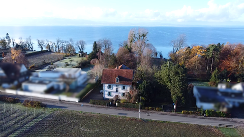 Kressbronn am Bodensee Wohnungen, Kressbronn am Bodensee Wohnung kaufen