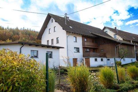 Waldshut-Tiengen / Aichen Häuser, Waldshut-Tiengen / Aichen Haus kaufen