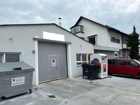 Sindelfingen Halle, Sindelfingen Hallenfläche