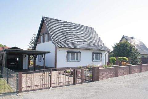 Lauta Häuser, Lauta Haus kaufen