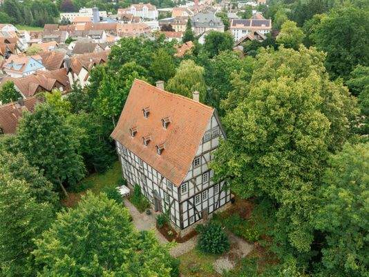 Alteburg Schotten 7.jpg