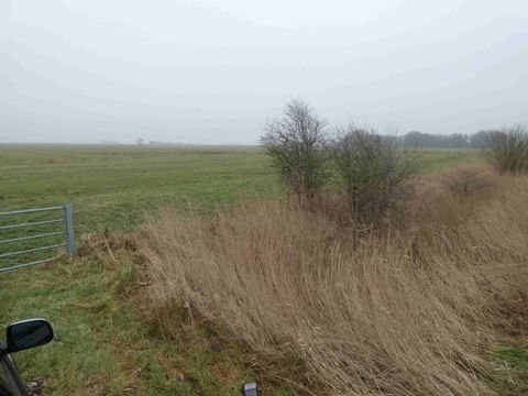 Kirchspiel Garding Bauernhöfe, Landwirtschaft, Kirchspiel Garding Forstwirtschaft