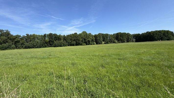 Ansicht von der Straße