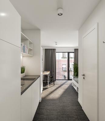 Illustration Wohnbeispiel Küche.png