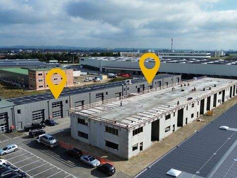 Asten Halle, Asten Hallenfläche