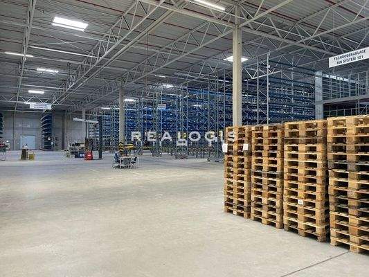 Innenansicht Hallenfläche