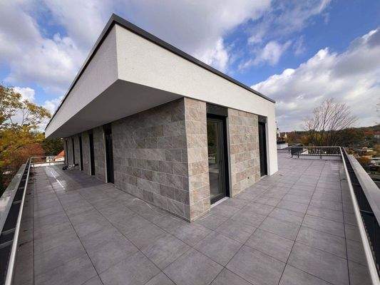 IMG_7545 2024-10-28 12_31_19.JPG