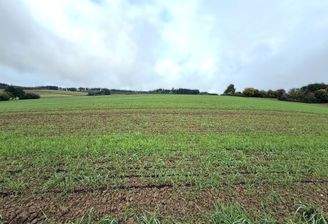 Ackerfläche (3).jpg