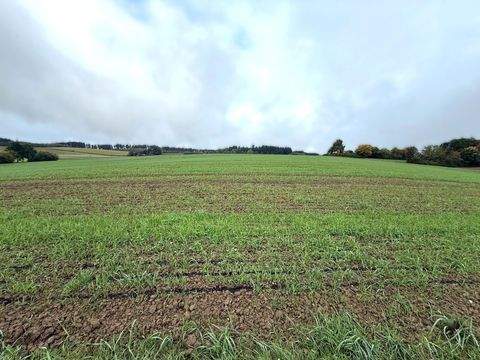 Essenbach Bauernhöfe, Landwirtschaft, Essenbach Forstwirtschaft