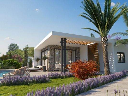 442094-detached-villa-for-sale-in-select-location_orig
