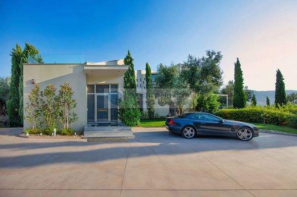 img_708224cd-46e1-475b-b242-8613b823c455