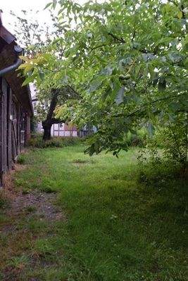 Entlang dem Holzschuppen