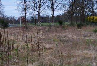 Nienhagen-Nienhorst Foto.jpg