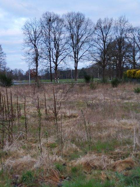 Nienhagen Grundstücke, Nienhagen Grundstück kaufen