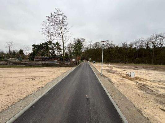 Baugebiet Hauptstraße Richtung