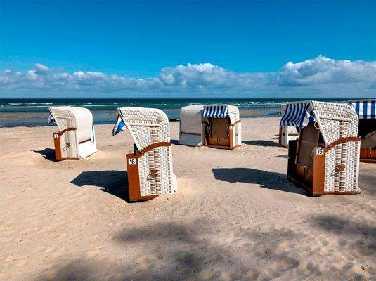 Strand Schwarzer Busch