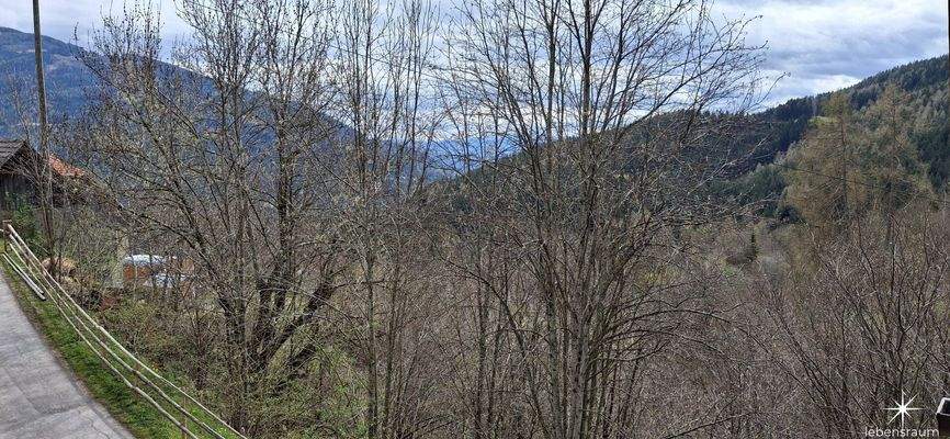 Aussicht vom Balkon im OG.