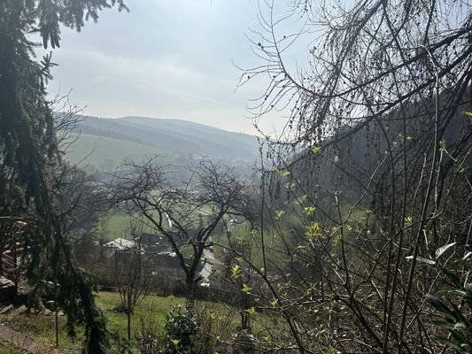 Das könnte Ihr Ausblick sein